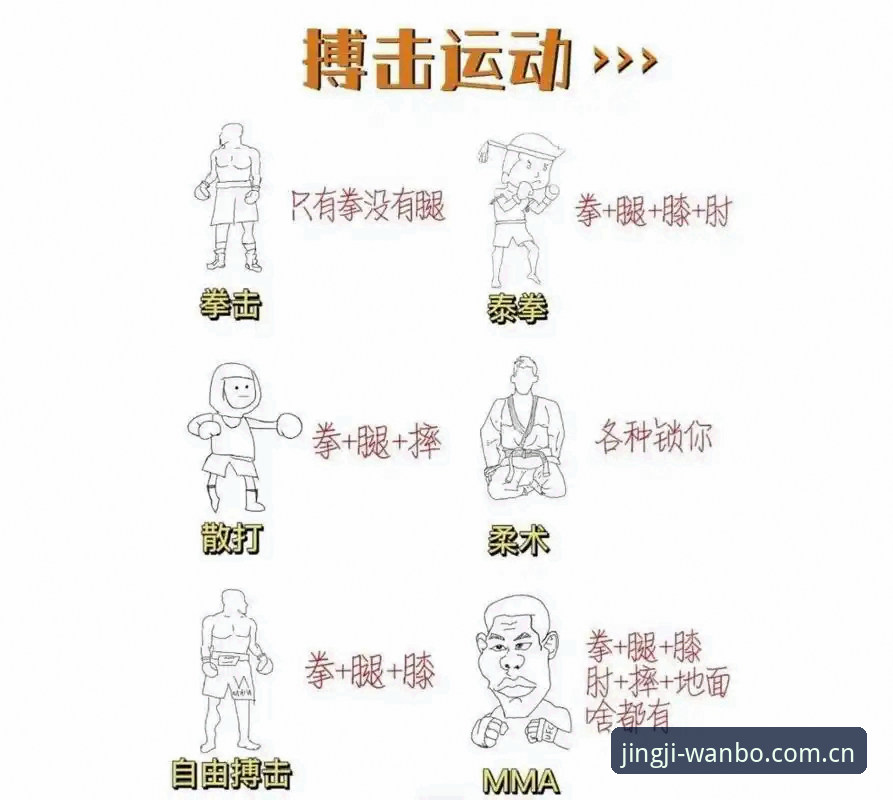 新手必看！万搏体育平台推荐必备的使用心得与实战经验